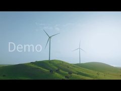 Деловое видео